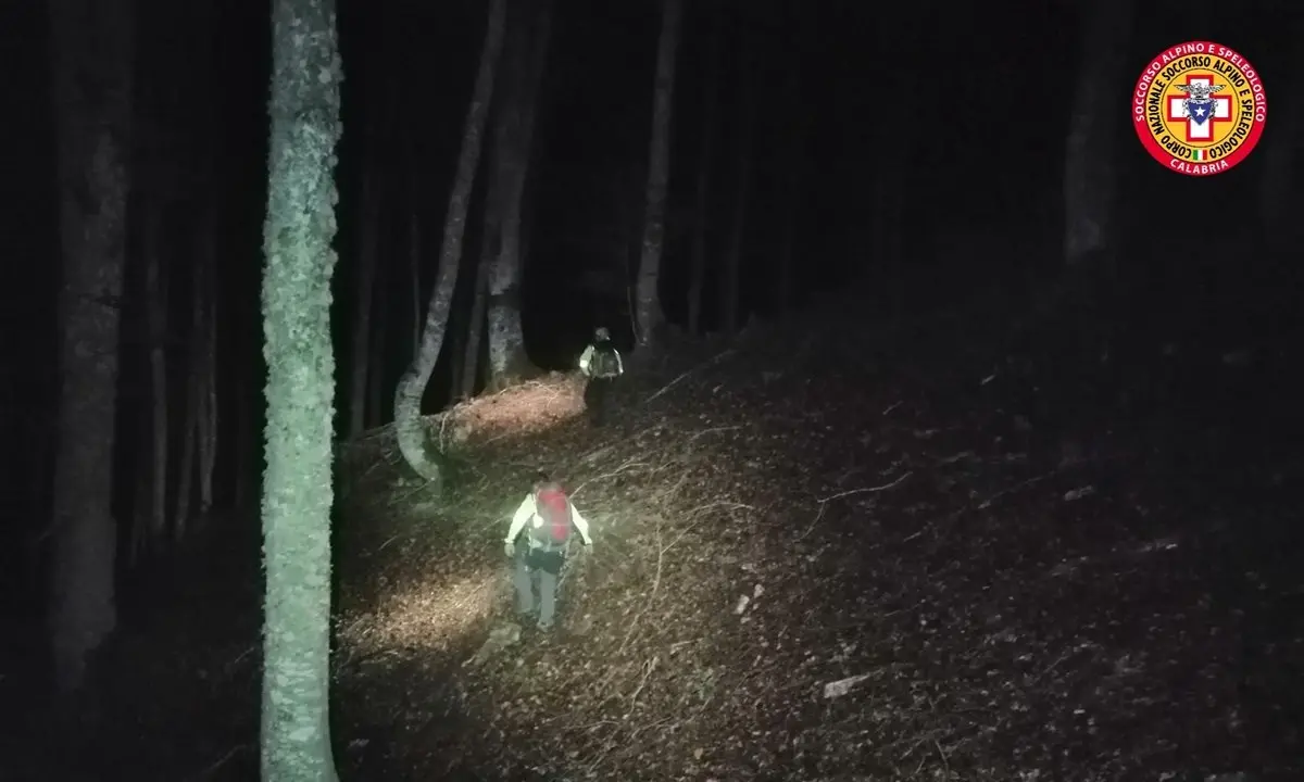 In corso le ricerche di un 74enne disperso nel Cosentino, era andato a cercare funghi