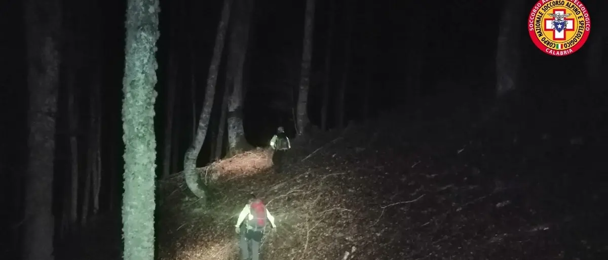 In corso le ricerche di un 74enne disperso nel Cosentino, era andato a cercare funghi