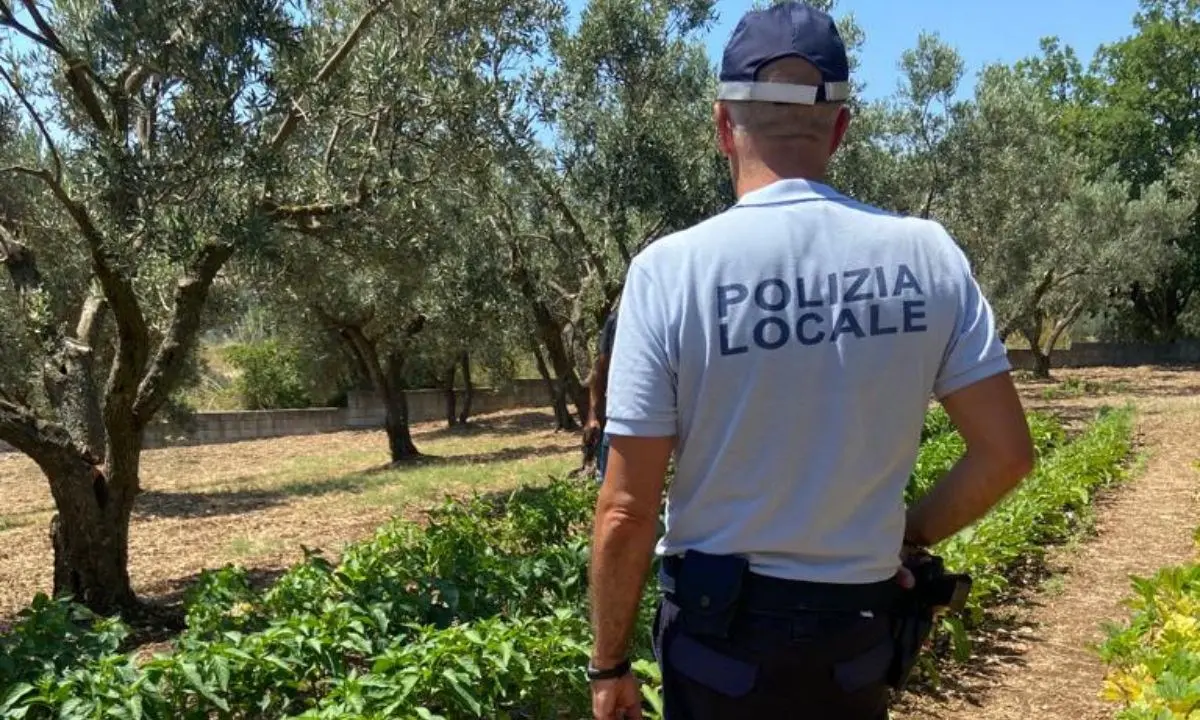 Catanzaro, scoperti due allacci abusivi alla condotta idrica usati per irrigare terreni: 2 denunce