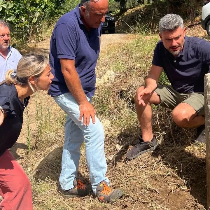 Maida, ritrovata in campagna una colonnina riconducibile all’epoca romana