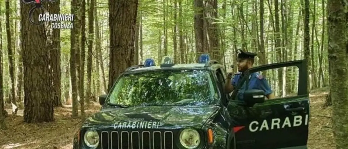 Due uomini dispersi nella Sila cosentina, ricerche in corso