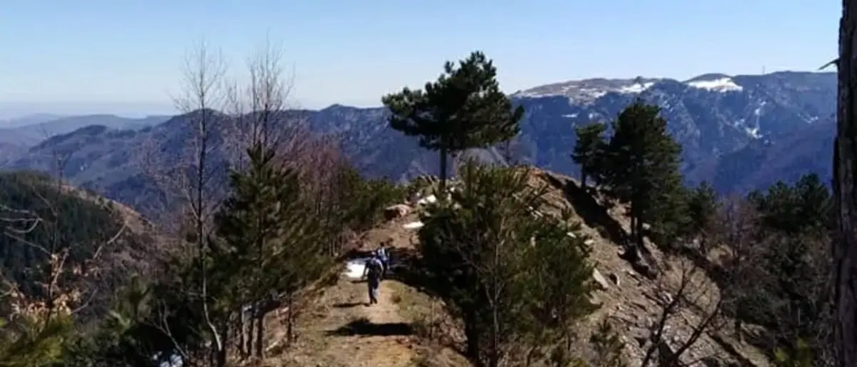 Ritrovati in buone condizioni i due anziani dispersi nella Sila cosentina