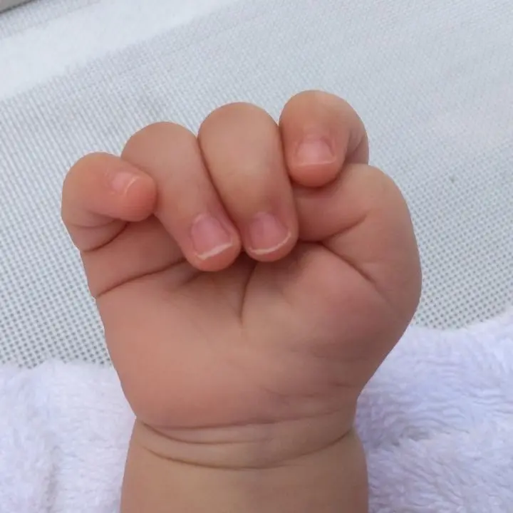 Monza, neonata abbandonata davanti all’ospedale: trovata all’interno di una scatola