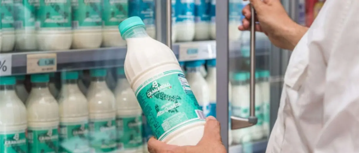 Il latte verso i due euro al litro, Granarolo e Lactalis lanciano l’allarme: «Impensabile»