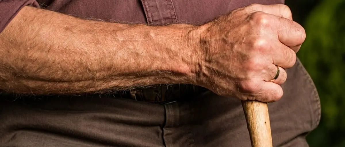 Il 67% delle pensioni in Calabria è inferiore a mille euro, Spi-Cgil: «Serve subito una riforma seria»