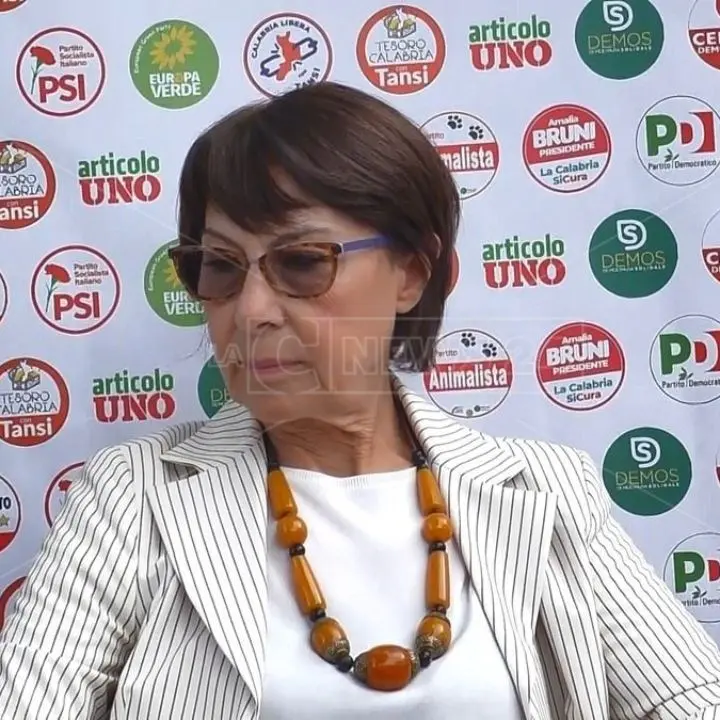 Fusione ospedali Catanzaro, Bruni presenta interrogazione in Consiglio: «Diversi punti devono essere chiariti»