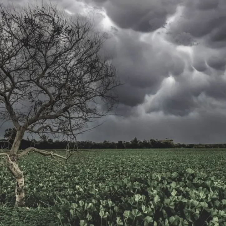 La grandine devasta i campi nel nord Italia, Coldiretti: «Tra siccità e maltempo perdite di oltre 6 miliardi»