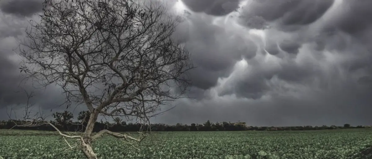 La grandine devasta i campi nel nord Italia, Coldiretti: «Tra siccità e maltempo perdite di oltre 6 miliardi»