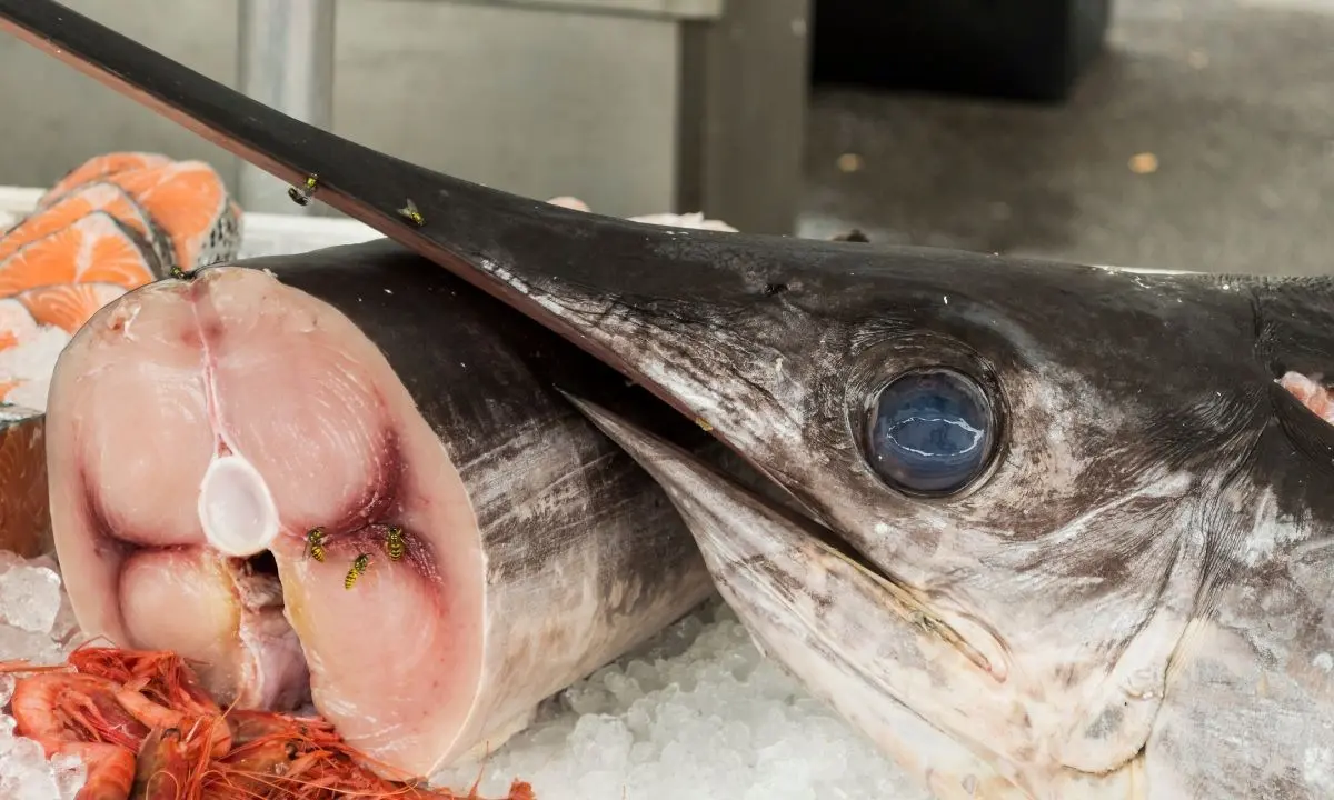 Scilla, l’ombra dei clan anche sulla vendita del pesce spada: le intercettazioni che incastrano Fulco