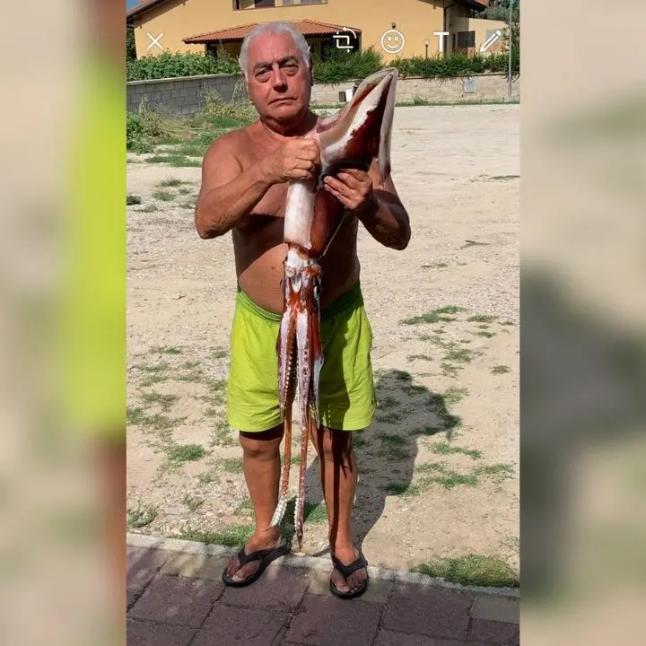 Pescato un raro esemplare di totano gigante al largo di Cropani