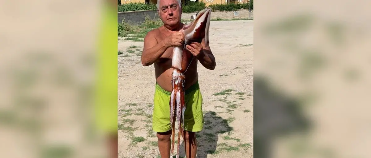 Pescato un raro esemplare di totano gigante al largo di Cropani