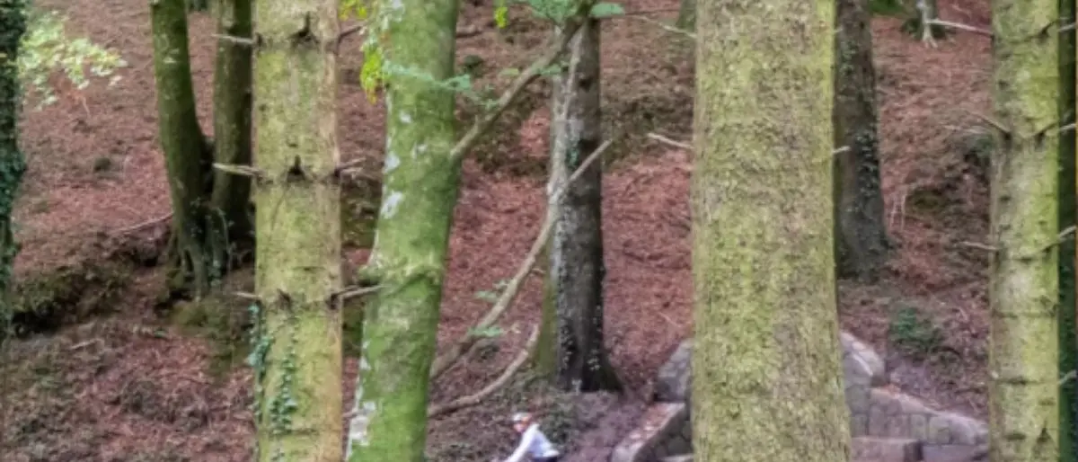 La Ciclovia dei parchi della Calabria conquista l'oscar italiano delle 'vie verdi'