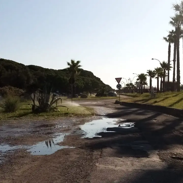 Catanzaro Lido, inizia l'estate ma il problema dell'irrigazione del verde pubblico resta irrisolto