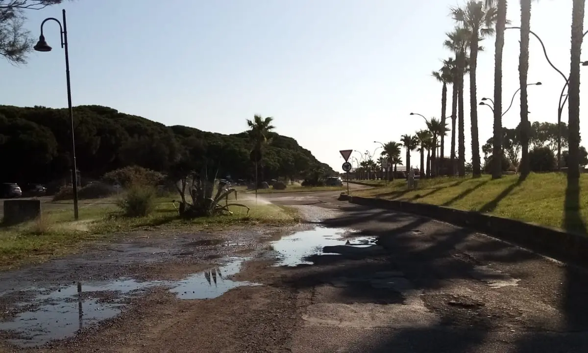 Catanzaro Lido, inizia l'estate ma il problema dell'irrigazione del verde pubblico resta irrisolto