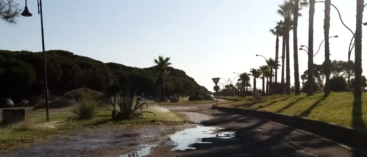 Catanzaro Lido, inizia l'estate ma il problema dell'irrigazione del verde pubblico resta irrisolto