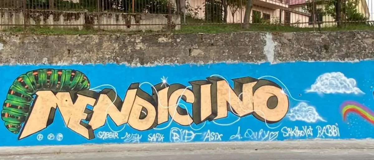 Mendicino, il murales disegnato da giovani migranti simbolo di accoglienza e integrazione
