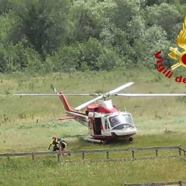 Toscana, scomparso nei boschi bimbo di 2 anni: ricerche a tappeto