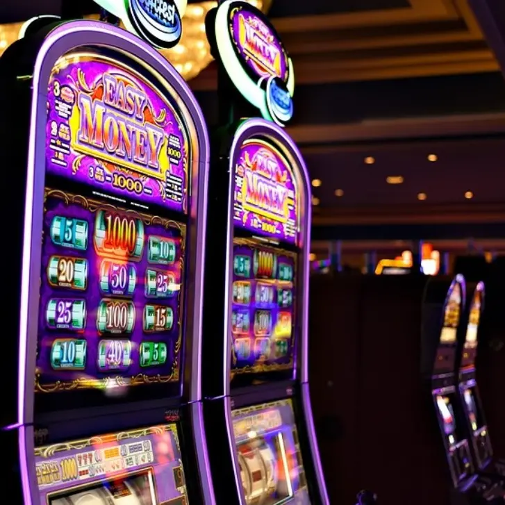 Raccolta abusiva di scommesse on-line: nel Catanzarese sanzionati due locali