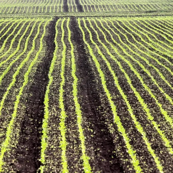 Agricoltura e innovazione, si aprono le porte del Crisea
