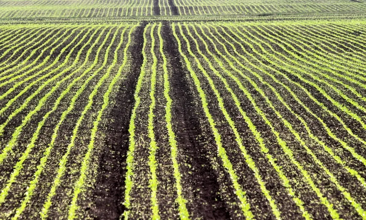 Agricoltura e innovazione, si aprono le porte del Crisea