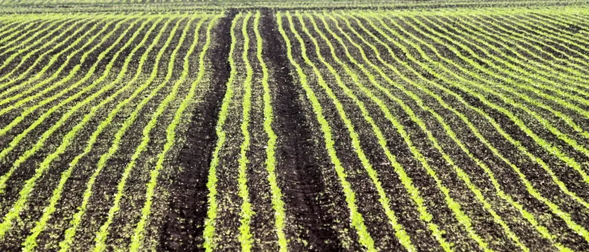 Agricoltura e innovazione, si aprono le porte del Crisea