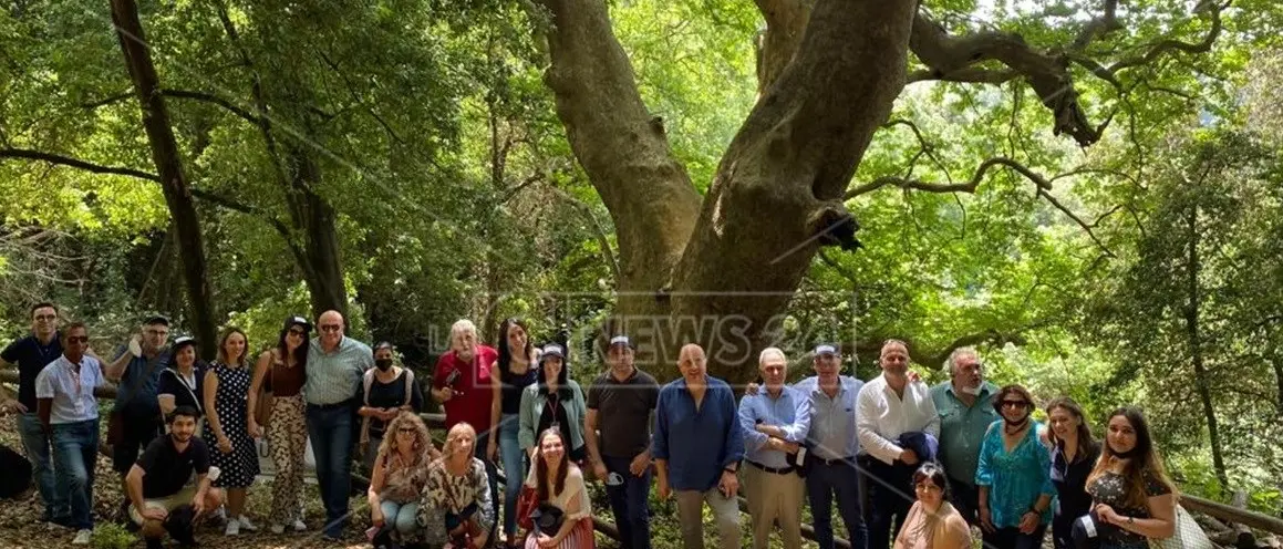 Da Curinga a Tropea, le pro loco di tutta Italia celebrano le bellezze di Calabria