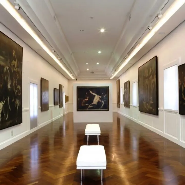 Notte europea dei Musei, a Cosenza s'inaugura “Co-abitazioni”: la mostra sui cambiamenti globali