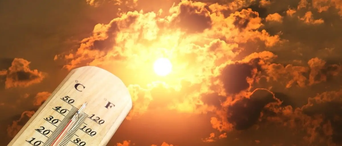 Canada, caldo record a 49,5 gradi e decine di anziani morti nell’ovest del Paese