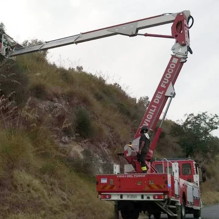 Va a raccogliere origano e sparisce: trovato morto in una scarpata a Cessaniti
