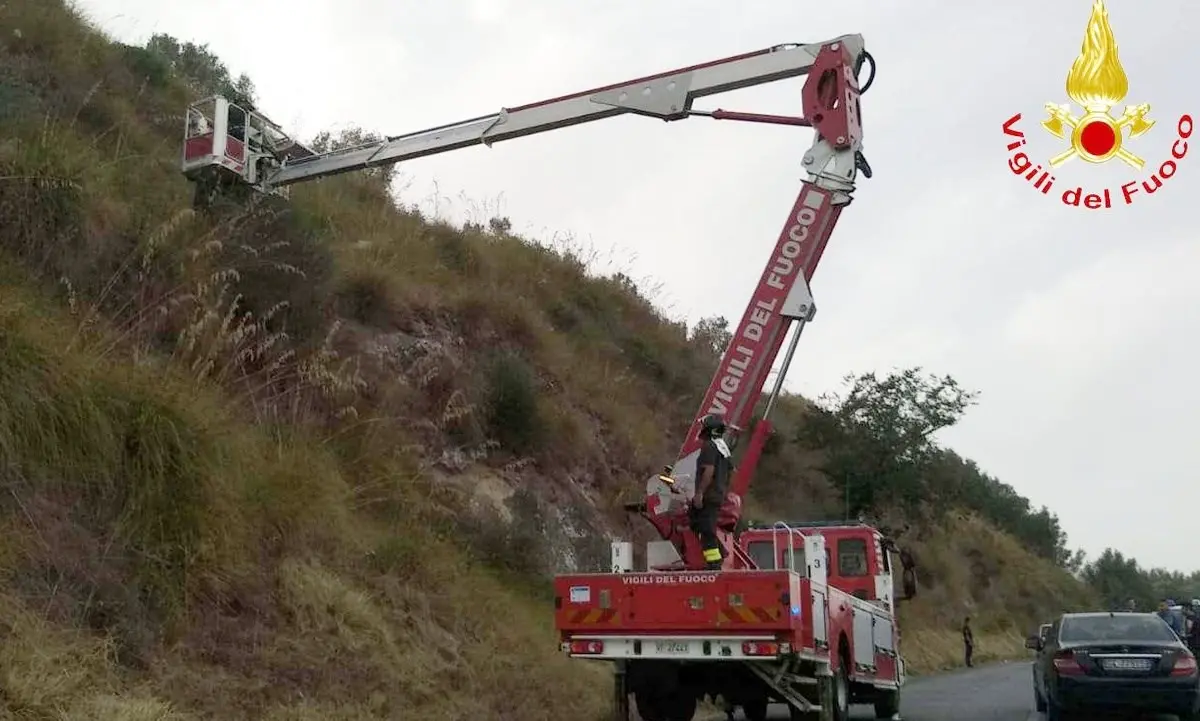 Va a raccogliere origano e sparisce: trovato morto in una scarpata a Cessaniti