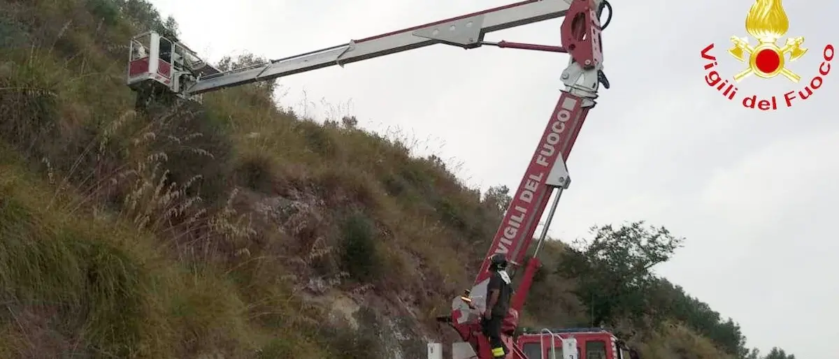 Va a raccogliere origano e sparisce: trovato morto in una scarpata a Cessaniti
