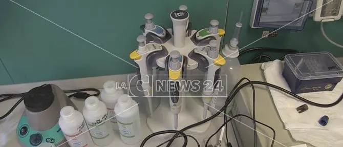 Variante Delta in Calabria, isolati altri 15 casi sospetti nel Cosentino