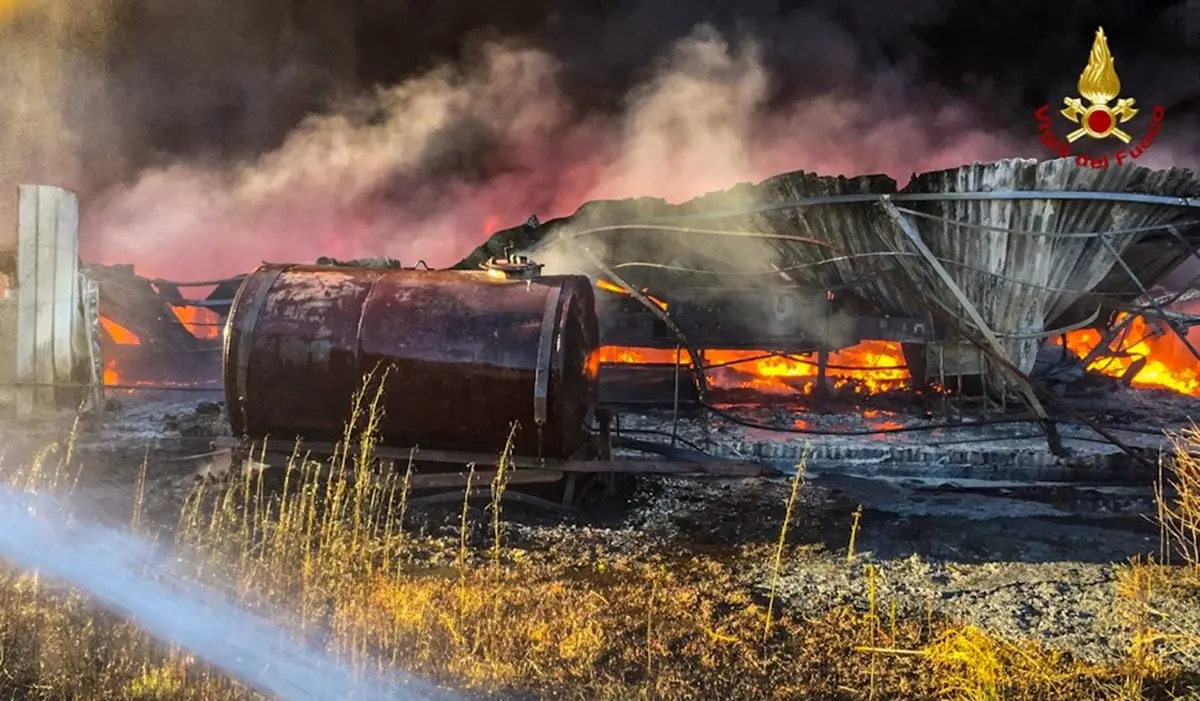 Bisignano, spaventoso incendio devasta un'azienda vivaistica nei pressi dell'autostrada