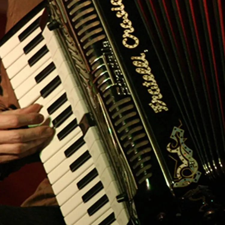 Festival della fisarmonica, a San Vincenzo La Costa musicisti da tutto il mondo