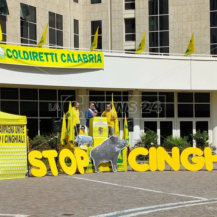 Emergenza cinghiali, agricoltori e Coldiretti in protesta davanti la Cittadella: «Situazione insostenibile»