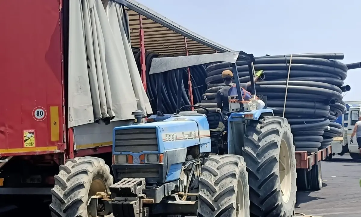 Corigliano Rossano, non c'è acqua per i campi: agricoltori sul piede di guerra