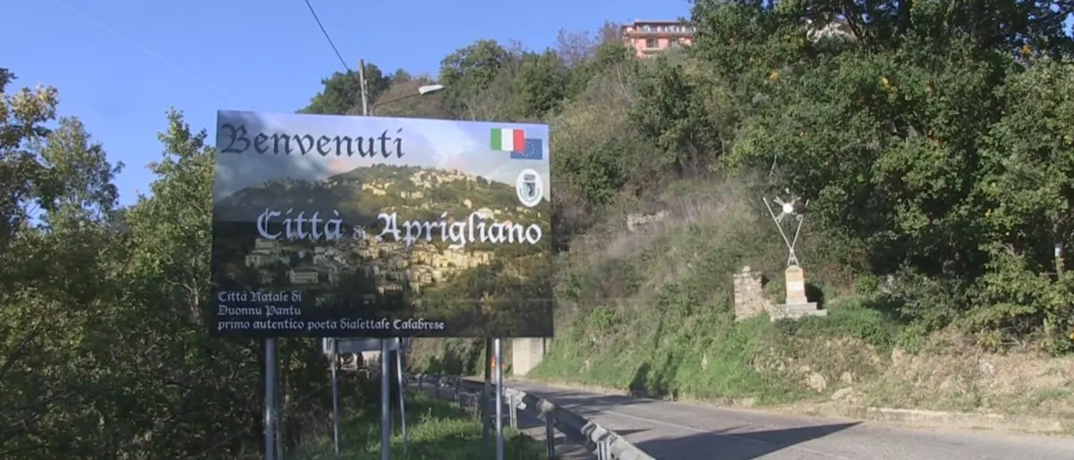 Green pass Covid, ad Aprigliano obbligatorio per tutti gli eventi estivi: l'ordinanza del sindaco