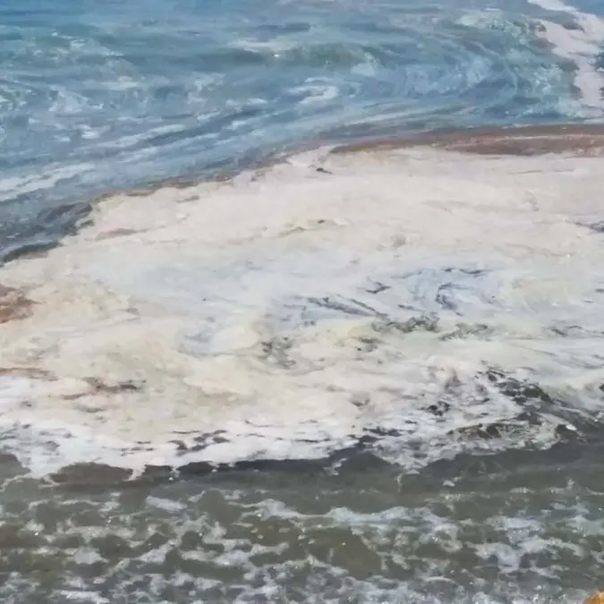 Mare sporco in Calabria: indagano le procure di Vibo, Lamezia e Palmi