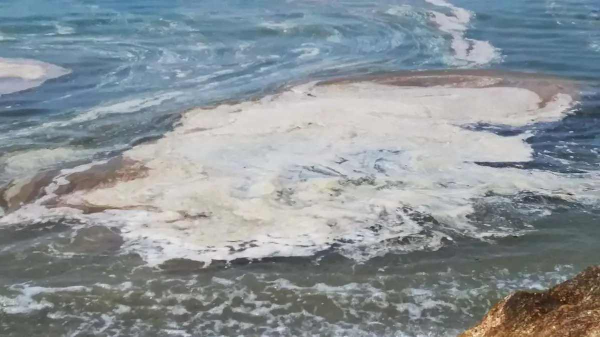 Mare sporco in Calabria: indagano le procure di Vibo, Lamezia e Palmi