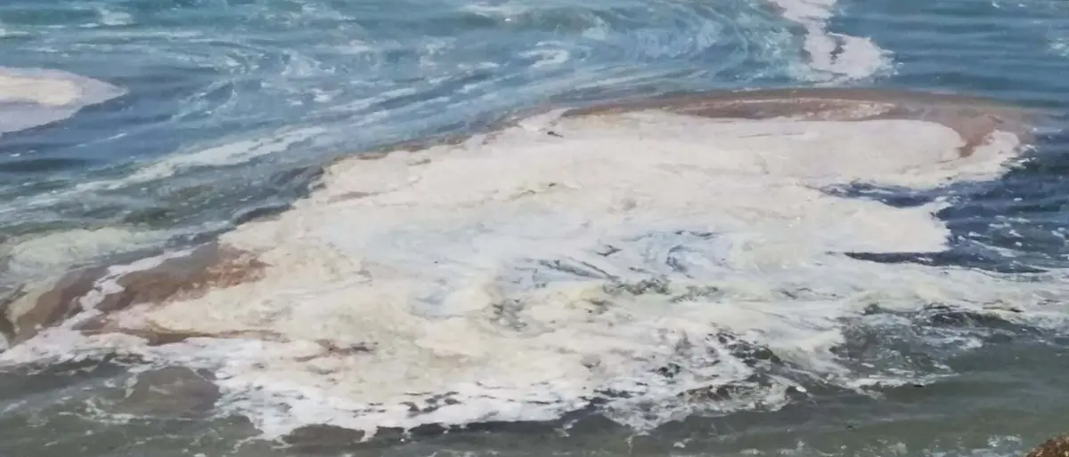 Mare in Calabria, il Movimento 24 Agosto: «Sporco a causa di depuratori carenti e mucillagine»