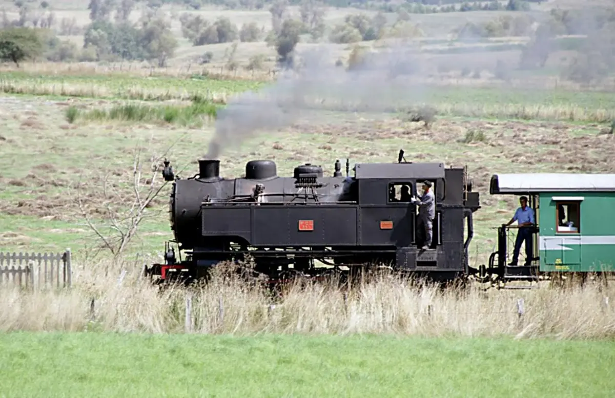 Il treno della Sila pronto a ripartire: ecco le corse previste per il mese di luglio