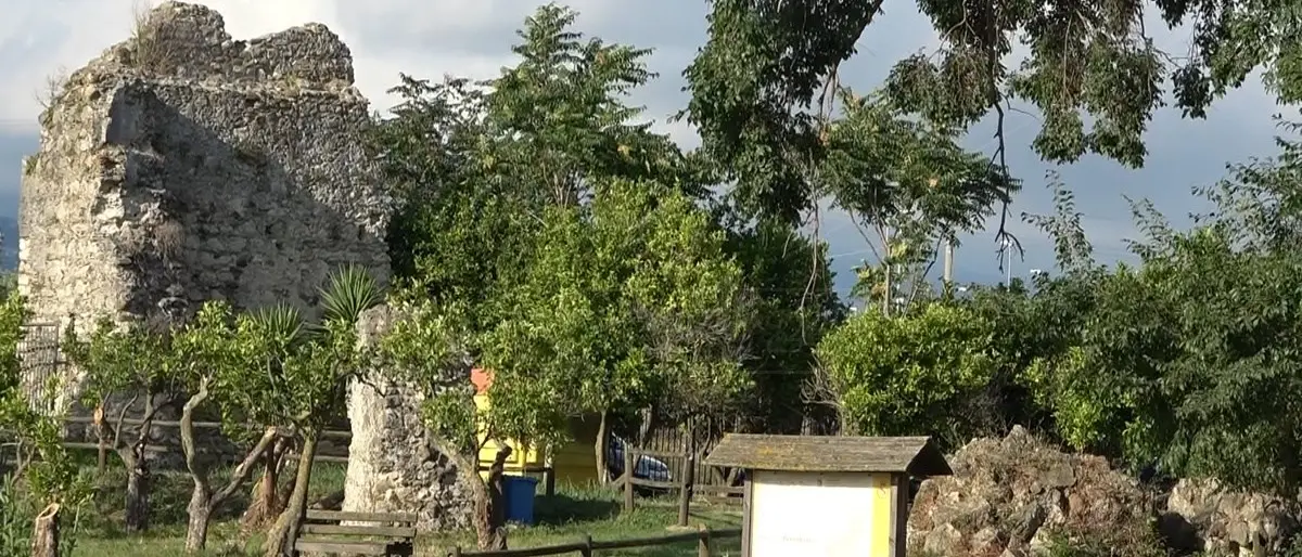 Al via a Lamezia la rassegna “Ma che musical...maestro”: studenti in scena al fianco del cantante Voghera
