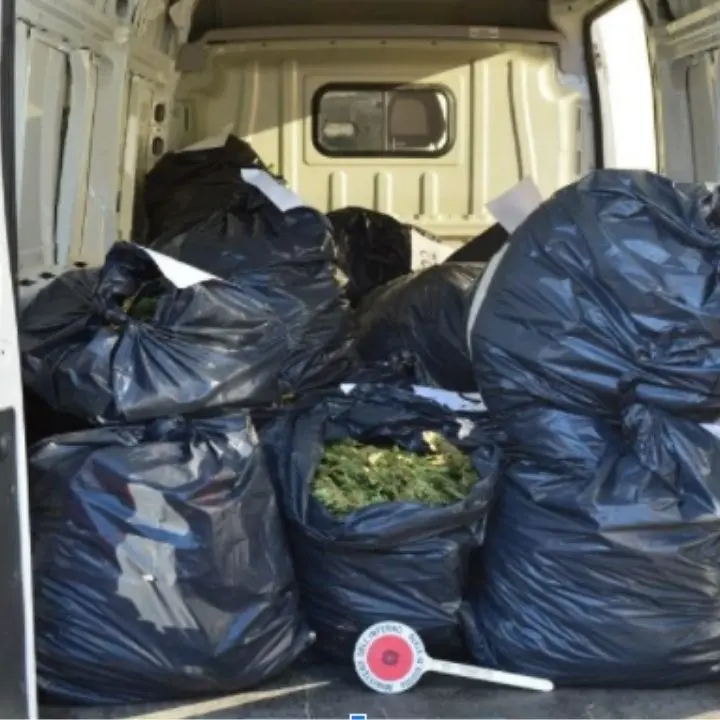 Oltre un quintale di marijuana in casa: arrestate 4 persone