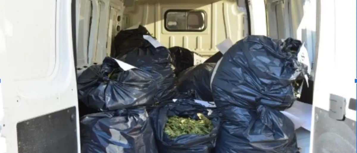 Oltre un quintale di marijuana in casa: arrestate 4 persone