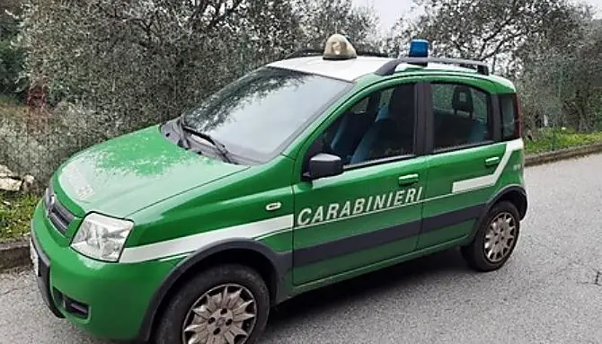 Falerna, lavori senza autorizzazione: sequestrata area adiacente a lido