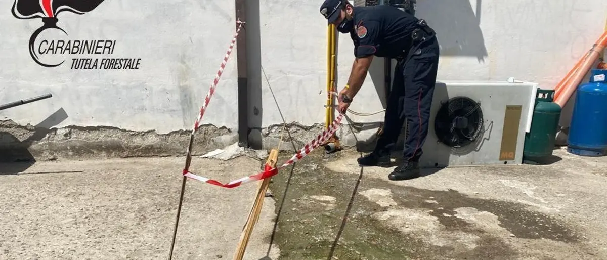 Montalto, smaltiva illecitamente reflui caseari e di macelleria: denunciato il titolare di un supermercato