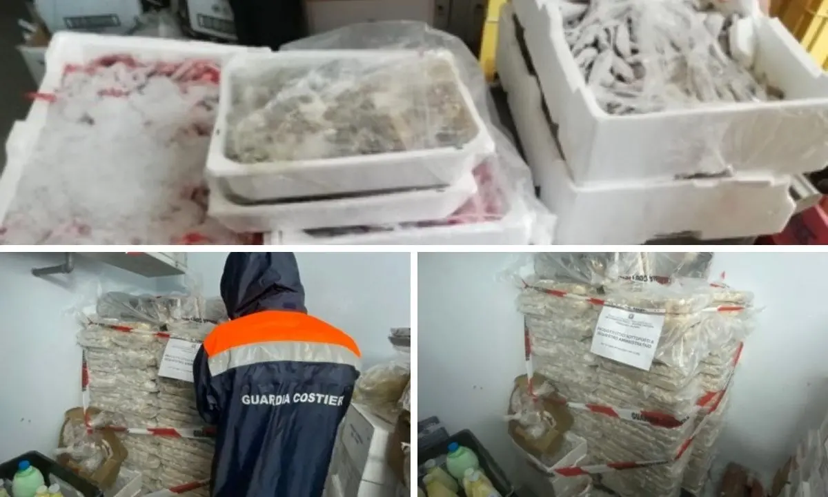 Corigliano Rossano, una tonnellata di pesce avariato nel frigo di un lido: sanzionato il titolare