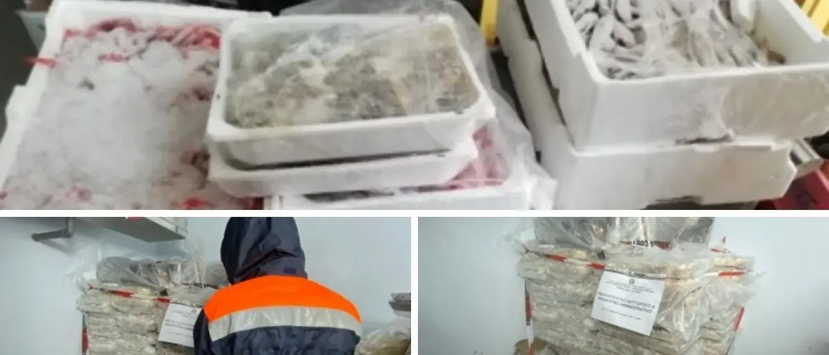 Corigliano Rossano, una tonnellata di pesce avariato nel frigo di un lido: sanzionato il titolare