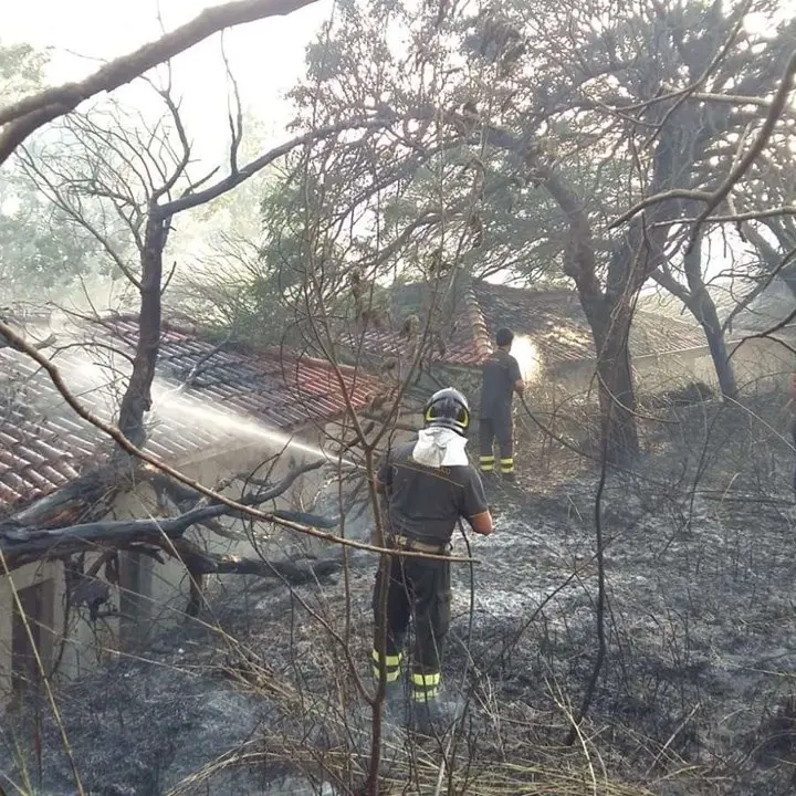 Giornata di fuoco nel Vibonese: incendi distruggono 16 ettari di boschi e macchia mediterranea