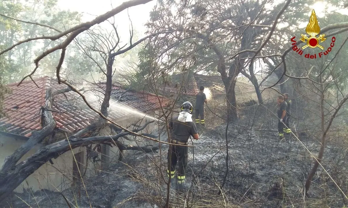 Giornata di fuoco nel Vibonese: incendi distruggono 16 ettari di boschi e macchia mediterranea